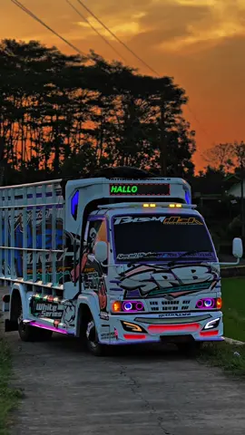 #srbsquad #elfmaniacintaindonesia #fypp #trucknology #fypage 