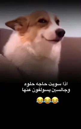 🤣🤣#الشعب_الصيني_ماله_حل😂✌️#مالي_خلق_احط_هاشتاقات🦦 #😂😂😂😂😂😂😂😂😂😂😂😂 #balloongiftbox #handheart