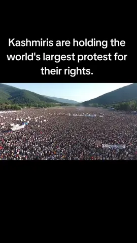 Kashmiris are holding the world's largest protest for their rights. #azadkashmir  #standwithazadkashmir_foryou_viral💯 