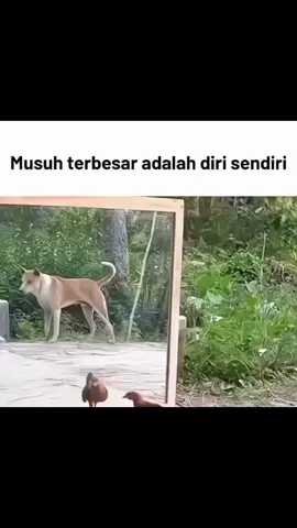 sekarang udah paham?.. #masalahhidup #overtingking #memes #fyp 