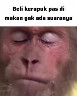 merasa terkhianati  #krupuk #food #snacks #memes #fyp 