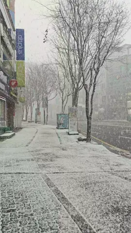 Tuyết đầu mùa 대전
