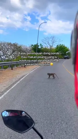 Ke apa ko e 🤣🤣#foryoupage❤️❤️ #viraltiktok #kupangtiktok #fyppppppppppppppppppppppp #foryoupageofficiall @mokser.est2024 @FATCHA AJA @_𝙃𝙖𝙡𝙡𝙤𝙈𝙖𝙣𝙞𝙨🕷️ @𝓘𝓽𝓼_𝓜𝓾𝓻𝓲 𝓜𝓸𝓷𝓮 🃏👑 @K Cakra17🕸️ @rco159 @🐴Nimang343🌠 