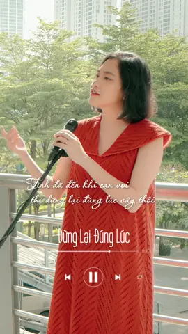 Tình đã đến khi cạn vơi thì dừng lại đúng lúc vậy thôi #xuhuong #nhachaymoingay #nhacnaychillphet #dunglaidungluc #dangthanhtuyen 