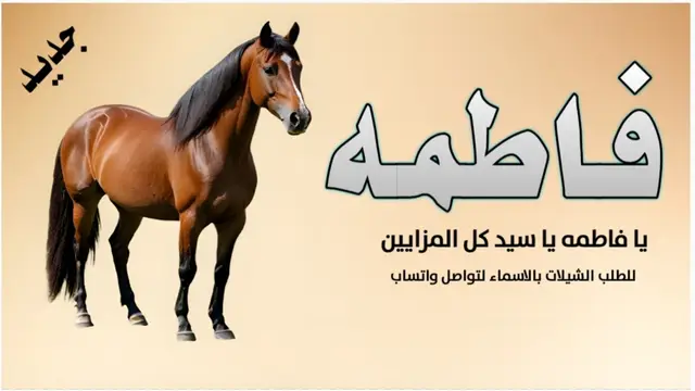 شيلة مدح فاطمه #اكسبلور #اكسبلور explore# السعودية 🇸🇦#الشعب _الصني _ماله _ حل😂😂#for you #you 