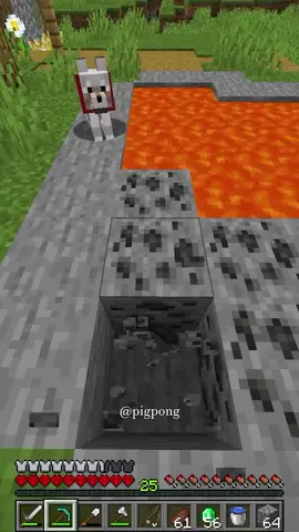He made a grave mistake  • • #Minecraft #minecraftmemes #gamers #gamingcommunity #GamingOnTikTok 