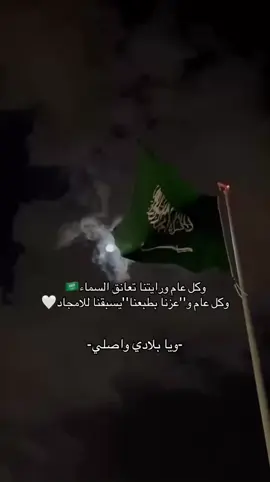 يا بلادي واصلي🇸🇦🇸🇦💚#اليوم_الوطني_السعودي_٩٥ #viral #الشعب_الصيني_ماله_حل😂😂 #fyp #اكسبلور #explore #explore #foryou 