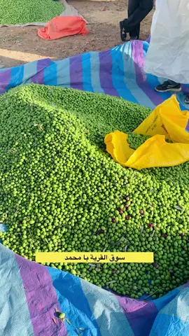 من سوق الثلاثاء بقرية با محمد اقليم تاونات تبارك الله خير مسلالة دخلت السوق بثمن 12 درهم بتاريخ 16 سبتمبر 2025