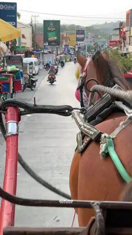 POV kamu nyore di Bumiayu pake dokar✨ #bumiayu #fyppppppppppppppppppppppp 