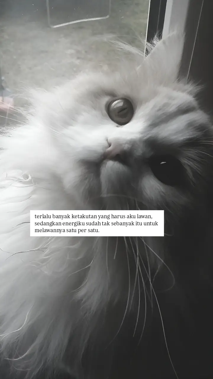 #4u #sadstory #fyp 