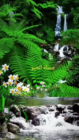 قران #قران #اكسبلور #aleisaei_1 #اكسبلور #اللهم_صلي_على_نبينا_محمد 