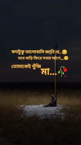 মা তোমাকে বড্ড ভালোবাসি 🥀🥀🥀#fyppppppppppppppppppppppp #viralvideo #creatorsearchinsights #furyoupage #tiktokviral @Ryan Lombard 