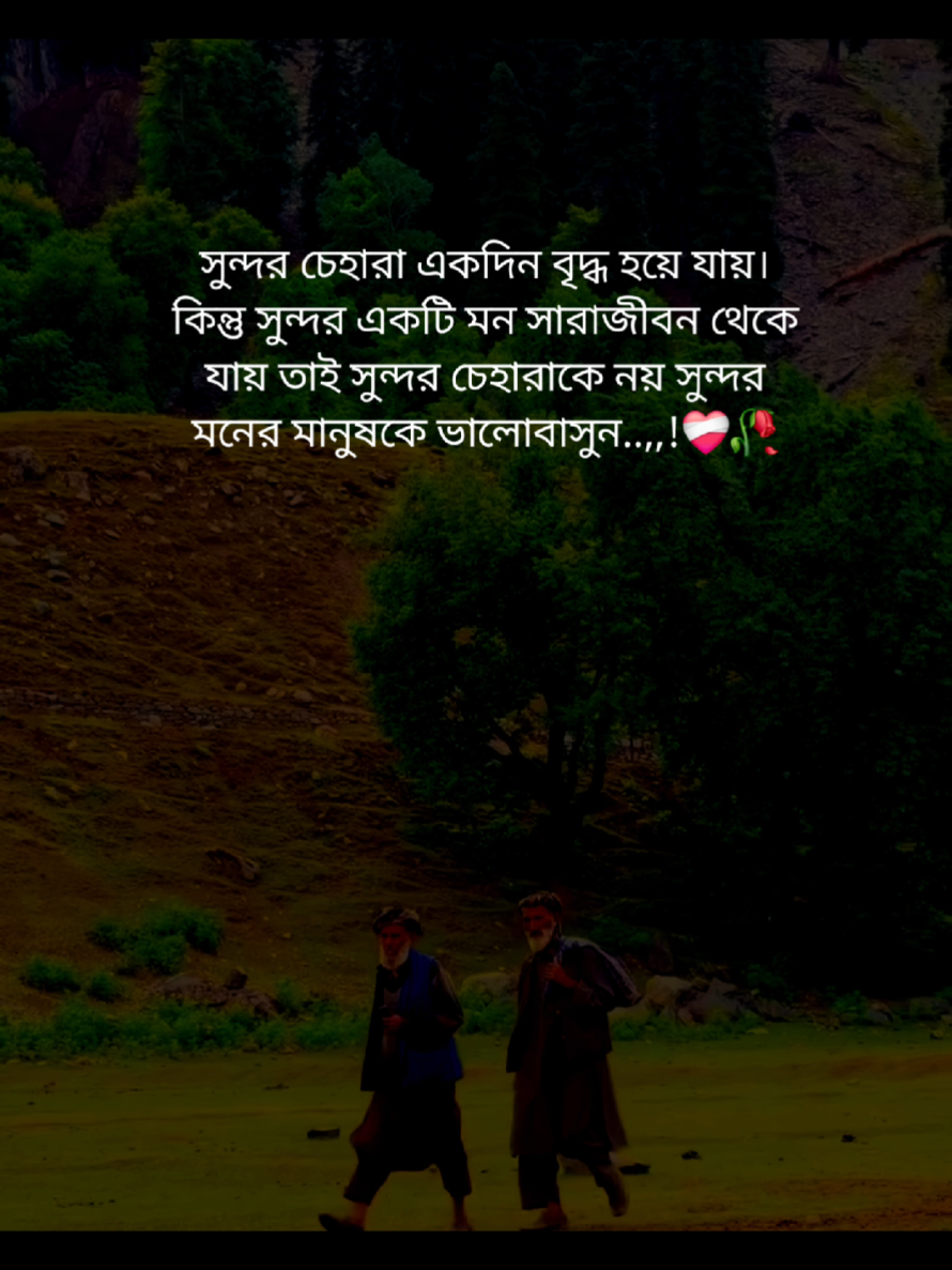 সুন্দর চেহারা একদিন বৃদ্ধ হয়ে যায়। কিন্তু সুন্দর একটি মন সারাজীবন থেকে যায় তাই সুন্দর চেহারাকে নয় সুন্দর মনের মানুষকে ভালোবাসুন,,!❤️‍🩹🥀#foryou #foryoupage #fyp #tiktokofficial #viralvideo 