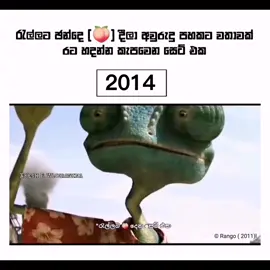 දැක්කම තරහ යන Reel (P1) || #kesh_p_wijerathna #foryoupageシ #memepage #politicalmemes  ©All Music Right Goes To Owners ©Video Right - Rango ( 2011 )