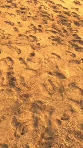 Arabic dulu