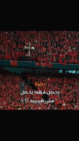 يحـصل مـهما يحـصل مش هسيبه..😂❤️ #الاهلي #الاهلي_فوق_الجميع #fyppppppppppppppppppppppp #explore #fyp 