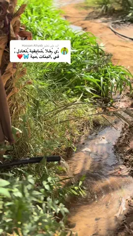 الرد على @Hassan Altyab #❤️❤️❤️❤️❤️❤️❤️❤️❤️❤️❤️❤️❤️❤️❤️ #✌️❤️❤️ #