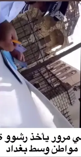 مرور وسط بغداد ياخذ رشوه من مواطن علني وهاي امام انظار وزير الداخلية @