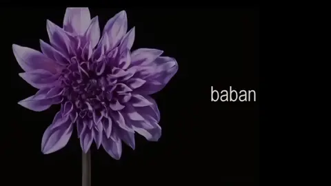 it's crazy what you do for a friend. . . . . -- daddy issues - the neighbourhood #lyrics #çeviri #sozler #rebirthstars #fyp 