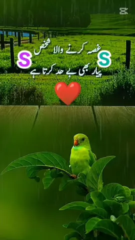 #foryou🦋✨シ♡foryoupage♥️🌸 