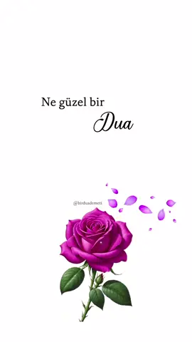 Am🤲