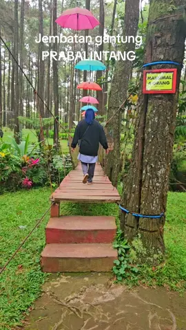 Taman Wisata Hutan Pinus PRABALINTANG lokasi Ds. Danasari Kec. Bojong Kab. Tegal
