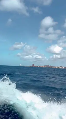 Celebrate the journey. Blessed.🙏🌴🛥️🌊☀️