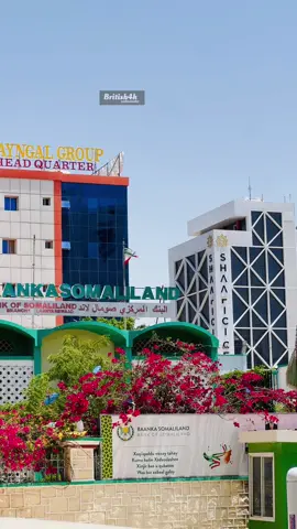 Hargyza zomaliland#somalilandtiktok💚🤍❤ #foryoupage #British4k #British4k #British4k 