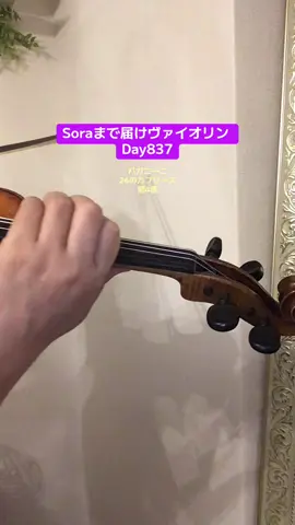 #837日目 #舞台裏のヴァイオリン 