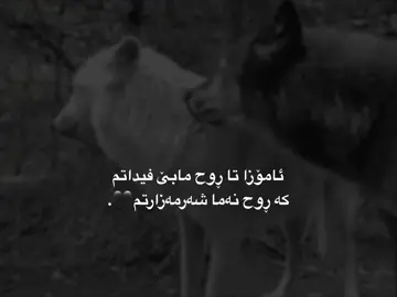 #foryou #fyp #rasty_lak ♥️🍁@﮼قاید⚜️ @ma7o_music 