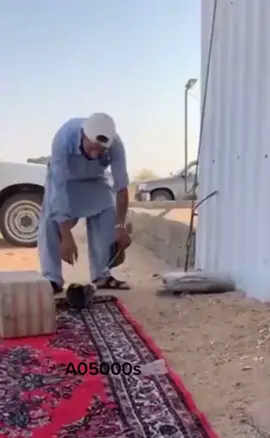 #في هذا اليوم 