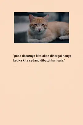 #katakatasedih #fyppppppppppppppppppppppp #katakatabijak #laguindia #viral 