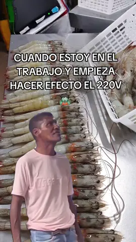 🧟 ES EFECTIVO 😵‍💫
