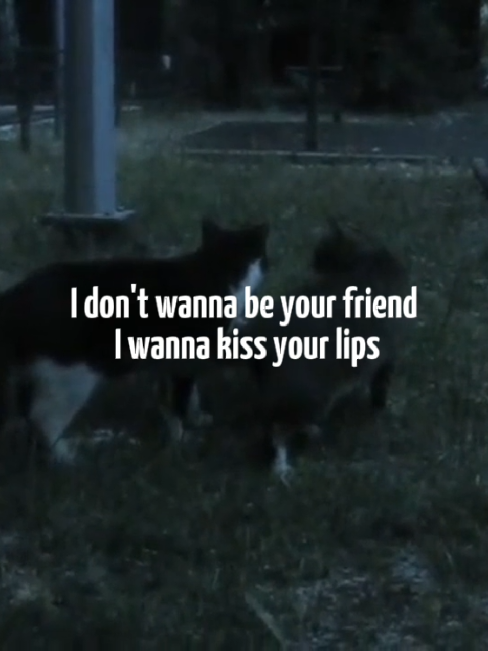 I don't wanna be your friend, i wanna kiss your lips... Girl in Red, настоящее имя Мари Ульвен Рингхейм, — норвежская инди-поп и bedroom pop певица, прославившаяся благодаря своим откровенным и меланхоличным песням, затрагивающим темы психического здоровья, лгбt-тематики, любви и идентичности, что делает её популярной среди молодёжи, а её хиты, такие как 