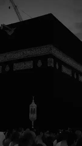 أّلَلَهّـمً أّقُبًلَ تٌـوٌبًتٌـنِأّ وٌأّغُسِـلَ حًوٌبًتٌـنِأّ وٌکْفُـر ذنِوٌبًنِأّ وٌخِـطِيِّأّنِأّ يِّــــــــــــأّررربً أّلَعٌأّلَمًيِّنِ  #دعاء_يريح_القلوب_ويطمئن_النفوس 