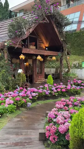 #duet cùng @Azimshukry Green Hill - Đi cùng mưa at Dalat in the afternoon #CapCut 
