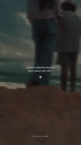 🤍
