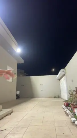 להופעות חייגו…