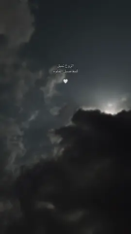 🕊️🍃 #نصيحة #هدوء #جمال_الحياة #الحمدلله_دائماً_وابداً #اقتباسات📝 