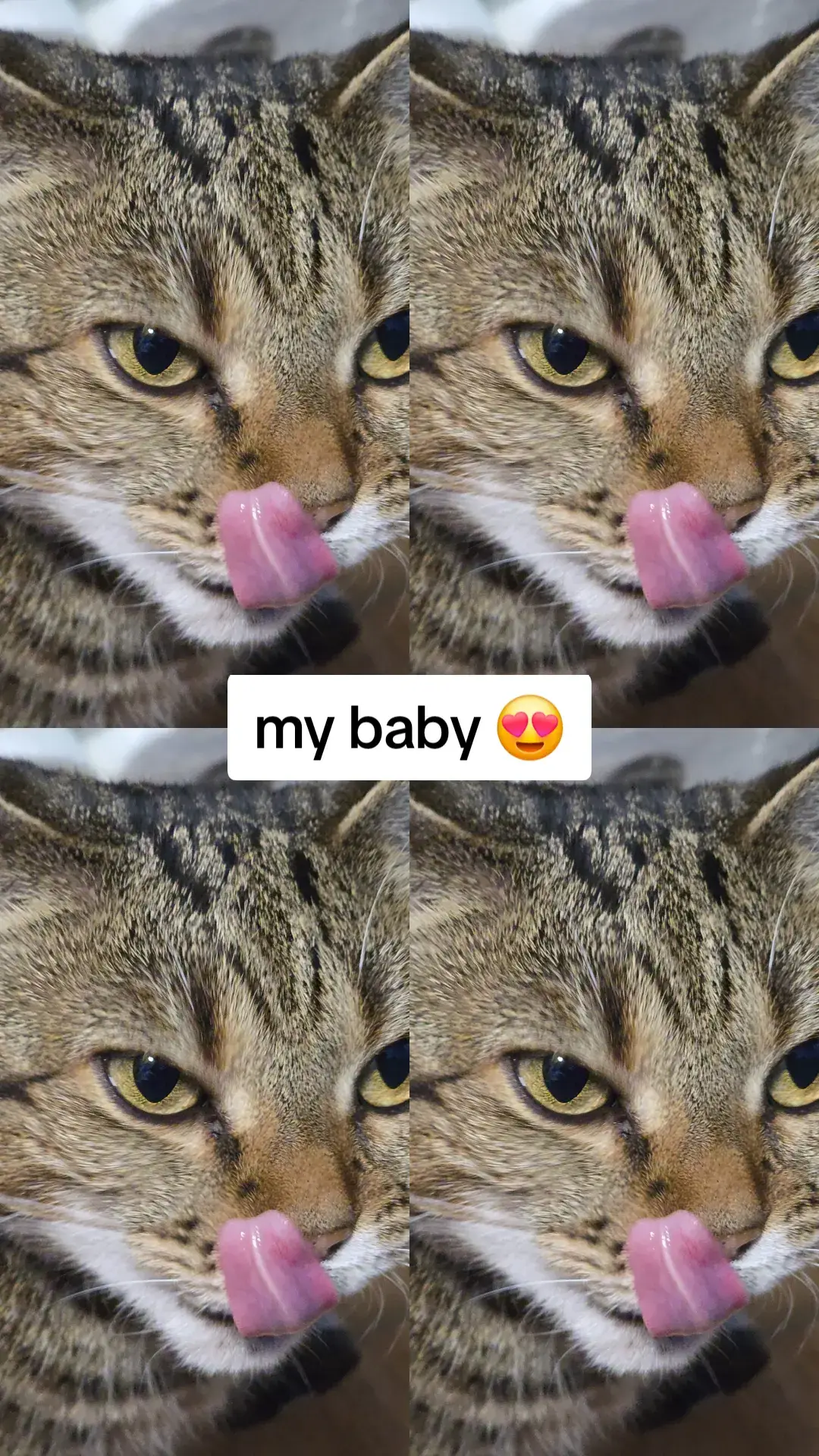 ♥️♥️♥️