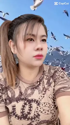 #CapCut 