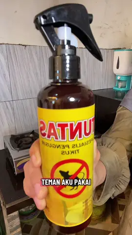 Tikus udah gak berani ngacak-ngacak dapurku karena udah aku semprotin pembasmi tikus dari tuntas #racuntikusviral #pembasmitikus #obatpembasmitikus #obattikus #obattikusampuh 