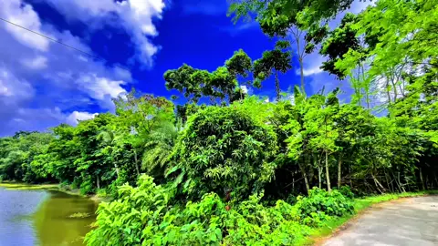 সবাই একটু রিপোস্ট করে দিয়েন আইডি ডাওন হয়ে গেছে 🙂 #প্রকৃতি #sky #anfeezemyaccont #viralvideo #tiktok @💫আকাশের ঠিকানা 💥 