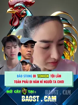 Bảo Sting đi Tonhon toàn đi năn nỉ người ta chơi #gà_chọi_việt_nam❤️ #gà #daga #gàchiến #chiếnkê #baosting #baostingshop #ánhtuyết #c1 #c2 #c3 #c4 #c5 #tonhon #xuhuong