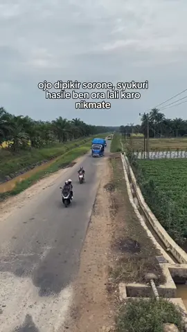 bentar lagi dah mau di copotin semua🥲