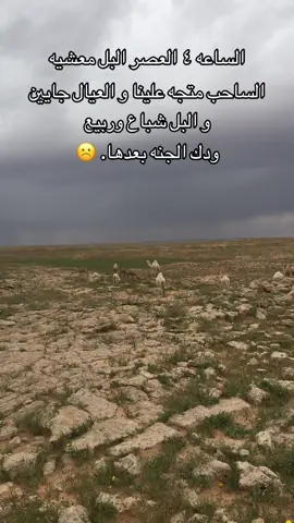 #ربيع الروسان#تصويري📸 #اكسبلور 