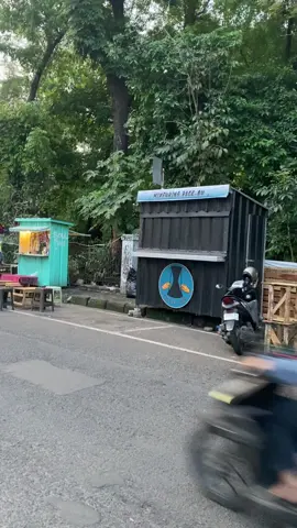 Semakin banyak anak-anak muda yg mulai berwirausaha peluang lapangan kerja mulai banyak yg terbuka dan harapan untuk menjadi PNS saja bisa berubah dan mereka bisa jadi ladang berkat #usahanakpapua #ananatimurmainabis #videoviral #videoviral #cilakibandung 