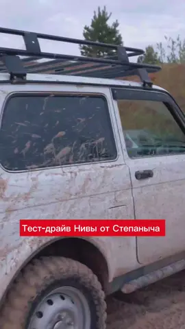 Хочешь Ниву? Тогда тебе в шапку профиля☺️