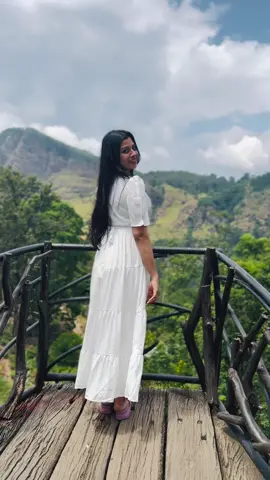 𝓗𝓪𝓹𝓹𝓲𝓷𝓮𝓼𝓼 𝓫𝓵𝓸𝓸𝓶𝓼 𝓲𝓷 𝓮𝓿𝓮𝓻𝔂 𝓼𝓽𝓮𝓹 💐🤍🌿#fyp #flowergarden #ella #viral#trending @Ella Flower Garden Resort 