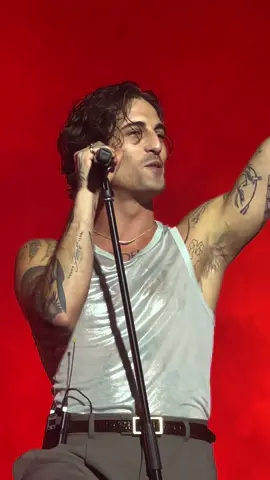 oh to be dove 🥰 @Damiano David #damiano #damianodavid #damianomaneskin #funnylittlefears 